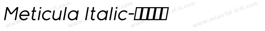 Meticula Italic字体转换